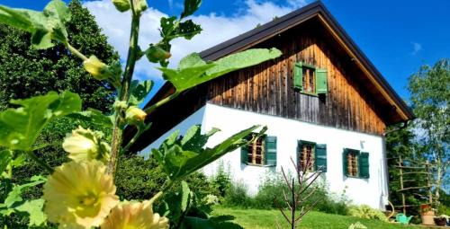 Majsperk House | Estate Ana