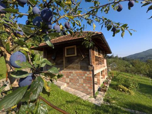 Central Serbia House | Ethno Village Bogut