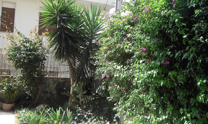 Motta Sant'Anastasia House | Etna Inn