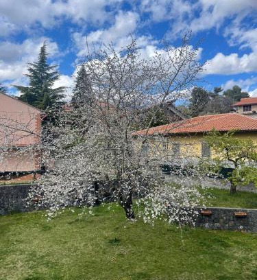 Ragalna Apartment | Etna sotto il ciliegio