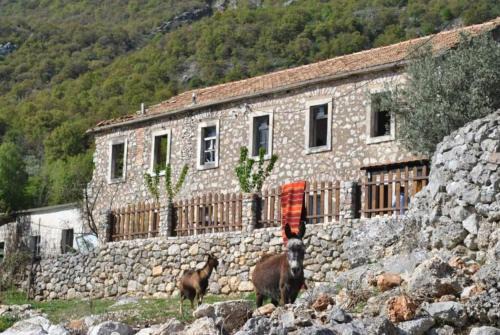 Montenegro Coast Apartment | Etno house Velje Selo