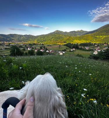 Mojkovac House | Etno Village "Pile"