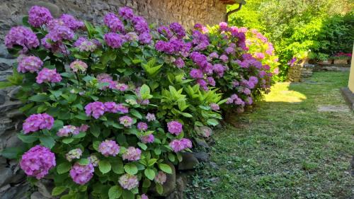Gattaia House | Etrusca House