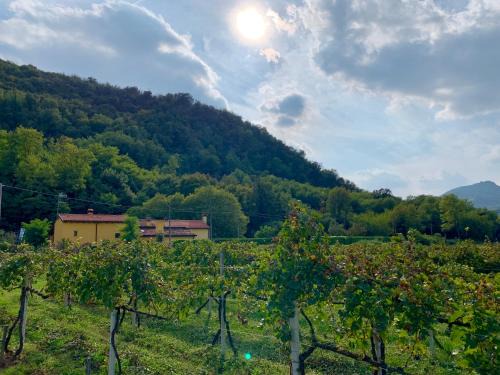 Torreglia House | Euganean Hills Natural Park: Casale Il Boschetto
