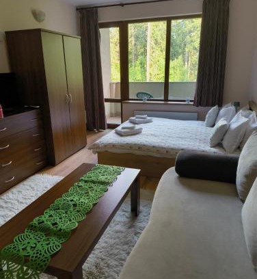 Pamporovo Apartment | Evrika home 21
