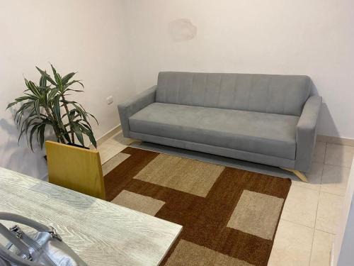 Ibague Apartment | Excellent studio apartment!