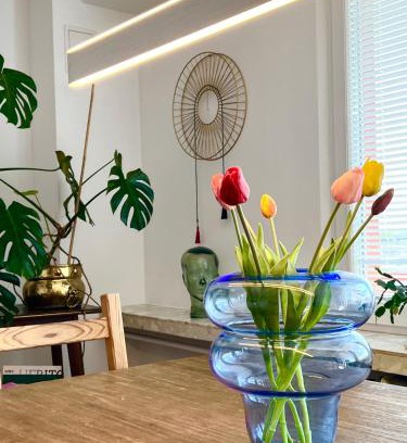 Podgorze Apartment | Exclusive Design Loft 60m2 whole Apartment in the center of Cracow with a view!