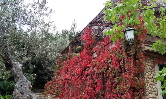 Biniaraix Cottage | EXCLUSIVE HOUSE WITH POOL