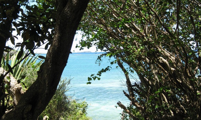 Willikies House | Experience Island Living In A Tranquil Seaside Setting!