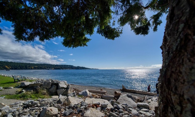 Downtown House | Extraordinary Downtown Sechelt Waterfront Esplanade Home