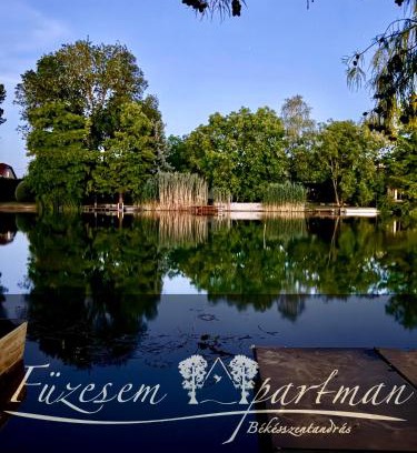 Bekesszentandras Apartment | Füzesem Apartman