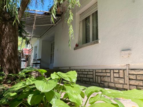 Siofok Aranypart House | Fűzfás Apartman