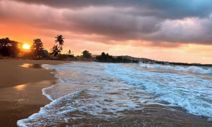 Mata de Platano Apartment | #F Tropical Rainforest Retreat Ocean View w/hottub