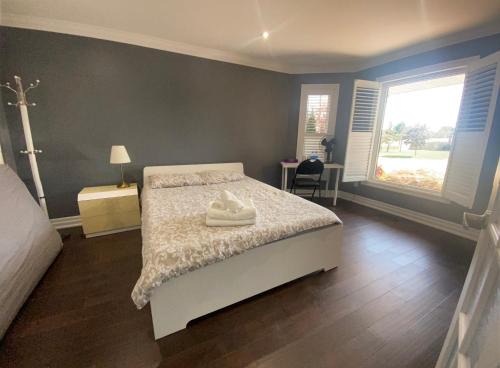Mississauga House | F1 cozy Sunny room