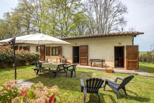 Colle di Val d'Elsa Apartment | Faetino - Gallo