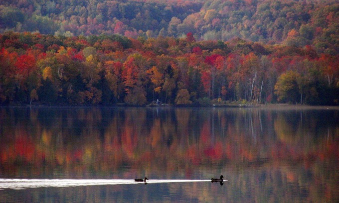 Alanson Cottage | Fall Foliage Getaway on Pickerel Lake – Cozy Cottage Retreat