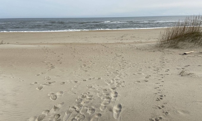 Salvo House | Family Affair oceanfront private pool Pet Friendly