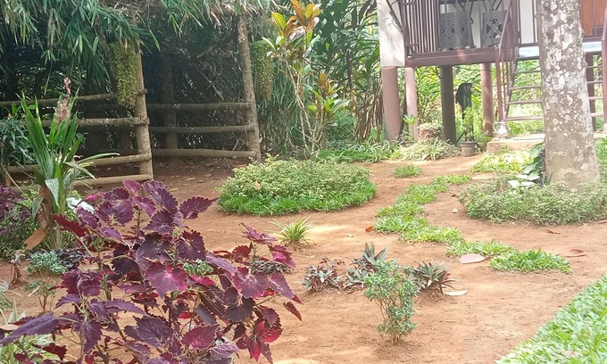 Vayittiri Villa | Family villa is a hut style accommodation
