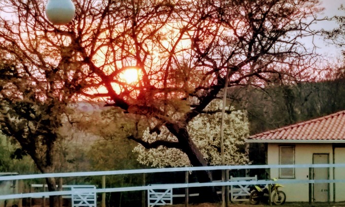 Jaboticatubas Other | Farm Farm Caiapo