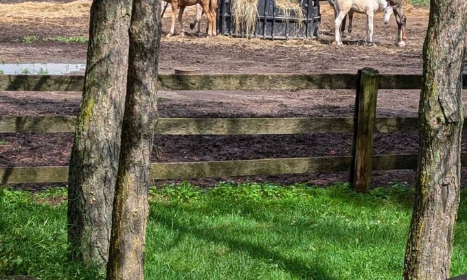 Durham Region Other | Farm stay in Port Perry Ontario