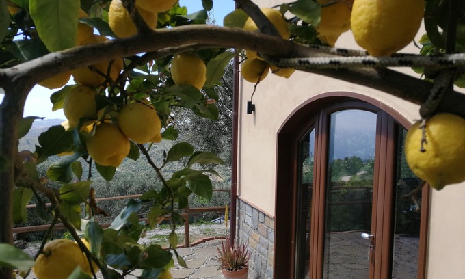 San Mauro Cilento Other | Farmhouse Agriculture Rascio