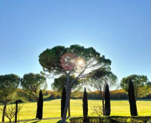 Colle di Val d'Elsa House | Fattoria Agriturismo Nerbona