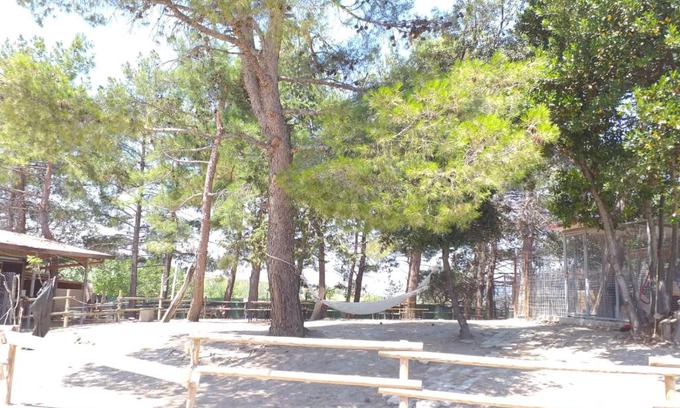 Montecarotto Other | fattoria country village