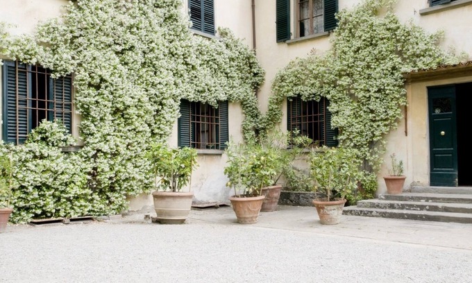 Bacchereto Other | Fattoria di Bacchereto - Guest House