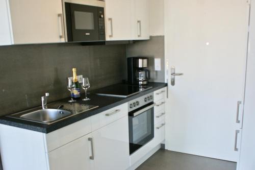 Fehmarnsund Apartment | Fehmarn-OstseeferienStrandresidenz Vogelflug 14312