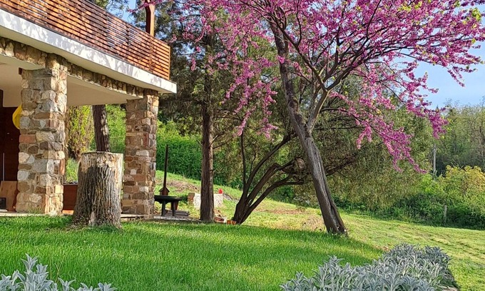 Sremski Karlovci Villa | FelicitanVila in nature suitable for accommodation during the EXIT festival!