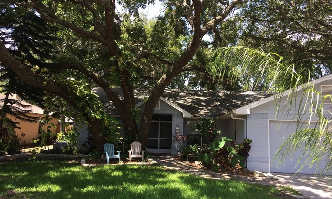 New Port Richey House | Fenced Private Heated Pool and Pet-Friendly
