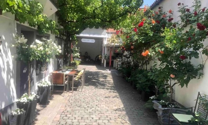 Neustadt-Hambach Apartment | Ferienwohnung im 'Schmoller - Hof'