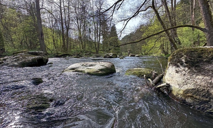 Neunburg vorm Wald House | Feriendorf Seeblick - Premium Tiny-Chalet mit Sauna und Hottub