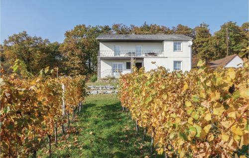Deutsch Schuetzen-Eisenberg House | Ferienhaus Mit Panoramablick