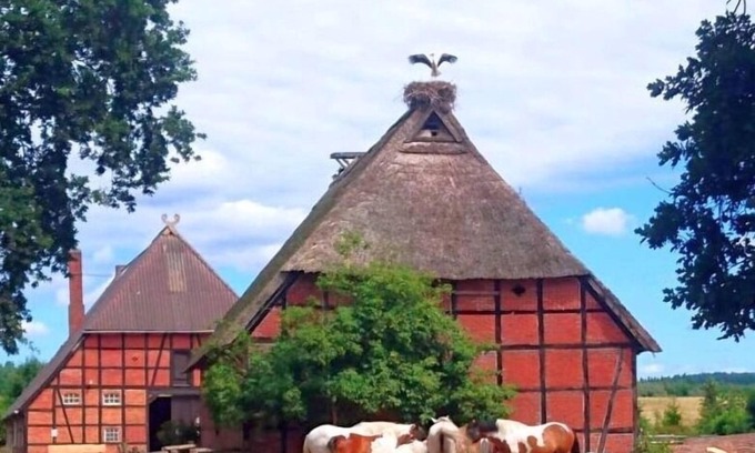 Hittbergen House | Ferienhaus für 4 Gäste mit 60m² in Hittbergen
