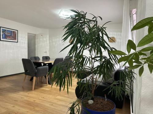 Nidderau Apartment | Ferienhaus Formidable