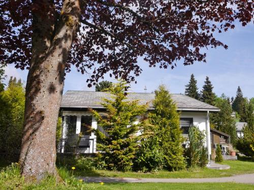 Usseln House | Ferienhaus FREE WILLI