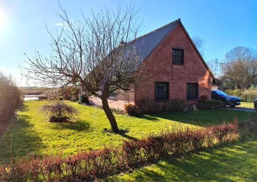Helse House | Ferienhaus Helserdeich - Urlaub zwischen Brunsbüttel und Friedrichskoog