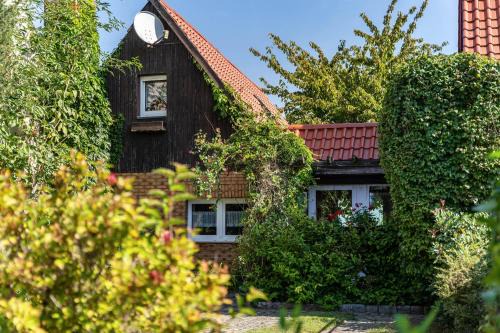 Blankenburg House | Ferienhaus Kornblume