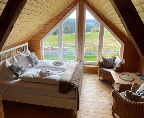 Friedrichshoehe Apartment | Ferienhaus Rennsteig-Wander-Mountainbike und Langlaufparadies