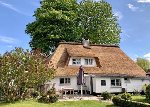 Suderstapel House | Ferienhaus Tade Bo