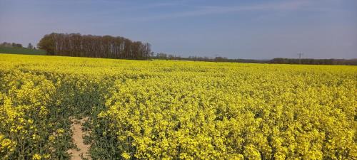 Loebau Apartment | Ferienhof mit Bergblick