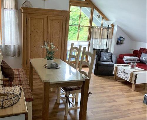 Schofweg Apartment | Ferienland Sonnenwald Fewo 46 und Studio 50 in Schöfweg Bayerischer Wald