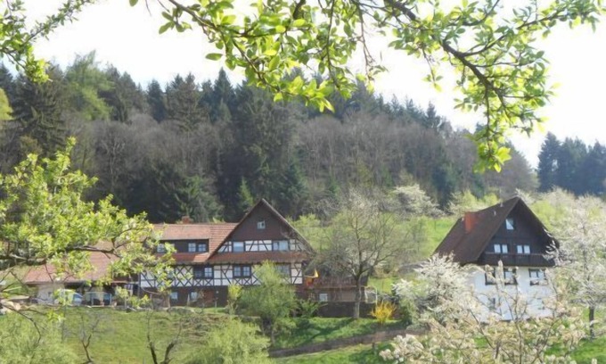 Busterbach Apartment | Ferienwohnung 2, 50qm, 1 Schlafzimmer, max. 4 Personen