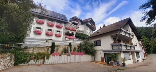 Schoenmuenzach Apartment | Ferienwohnung am Kurpark