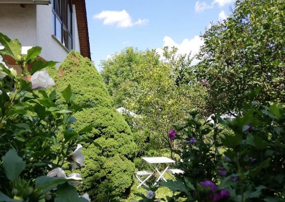Weimar Apartment | Ferienwohnung an der Windmühle