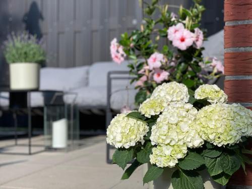 Schneverdingen Apartment | Ferienwohnung Annabelle