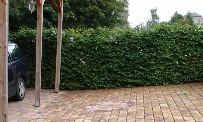Bad Schlema Apartment | Ferienwohnung/app. für 4 Gäste mit 50m² in Bad Schlema