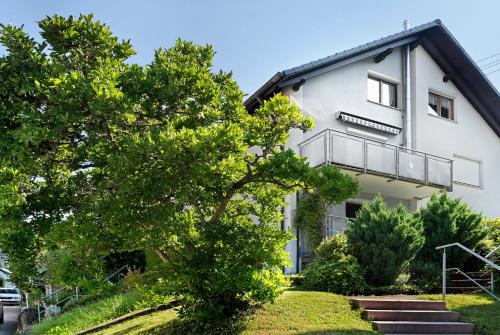 Schiltach Apartment | Ferienwohnung Das Nest