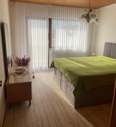 Mainz-Bingen Apartment | Ferienwohnung Elli